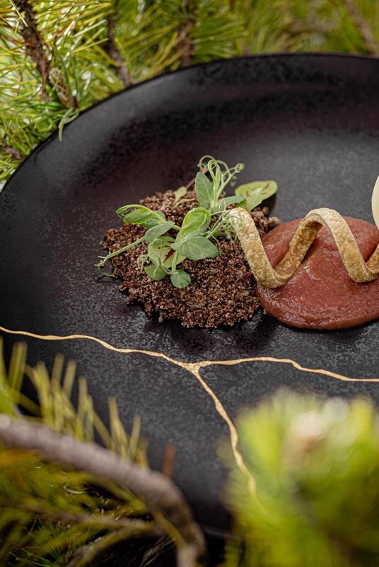 First Course