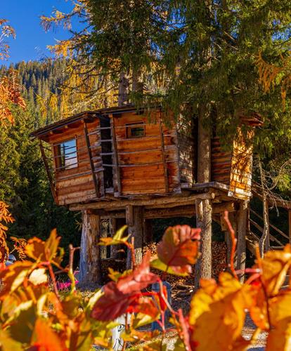 Glamping im Herbst