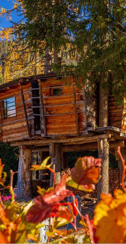 Glamping in autumn