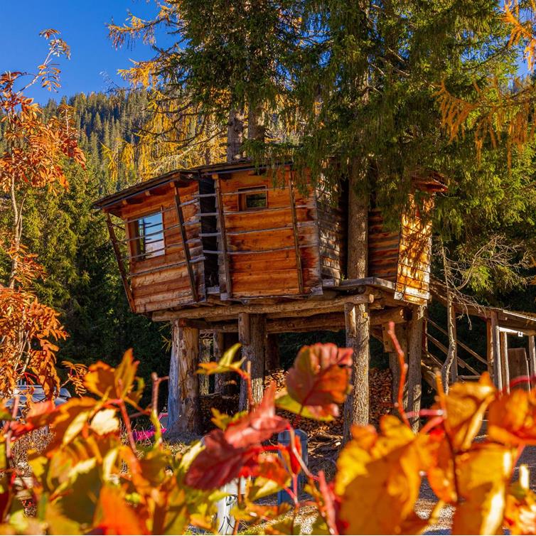 Glamping in autumn