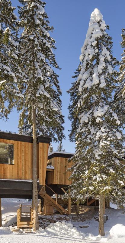 cps-baumhaus-samuel-pradetto-2015-0001