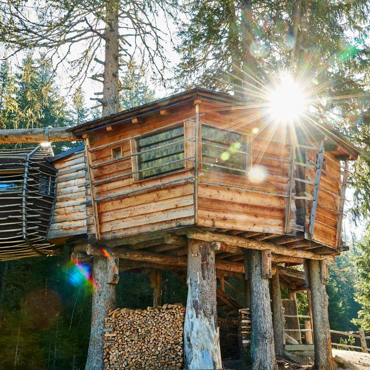 Casa sull'albero