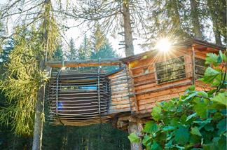 Glamping im Baumhaus