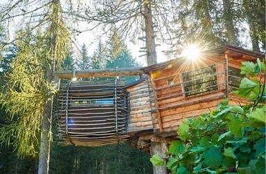 Glamping im Baumhaus