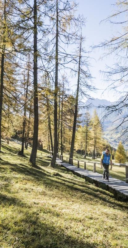 Hiking in autumn