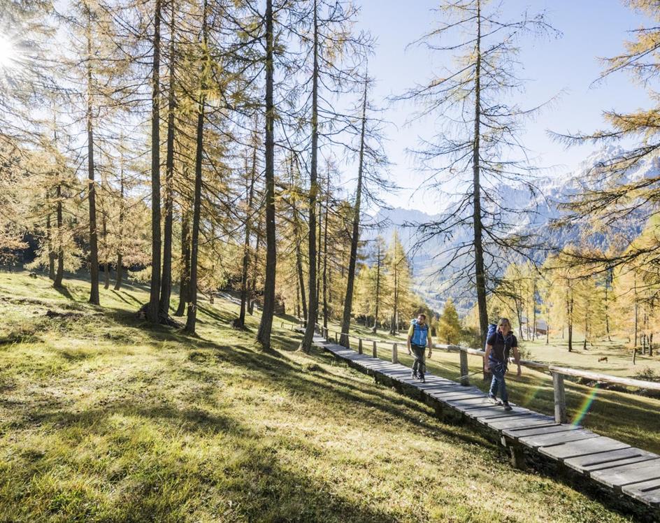 Hiking in autumn