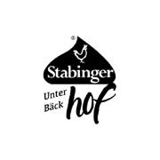 logo-stabinger