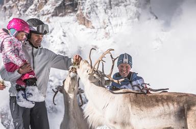 Reindeer Herd at Croda Rossa