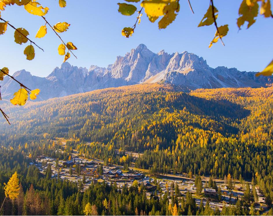 View in autumn