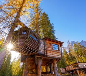 Baumhaus im Herbst