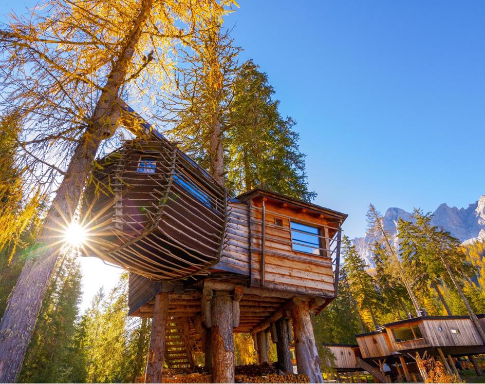 Treehouse in autumn