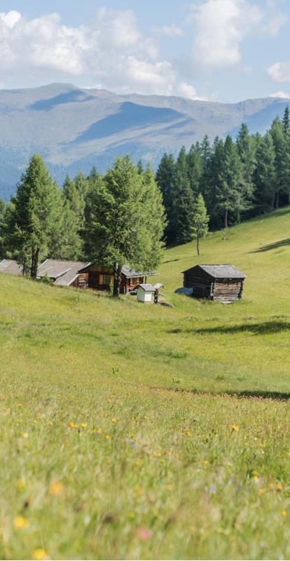 The Dolomites in summer